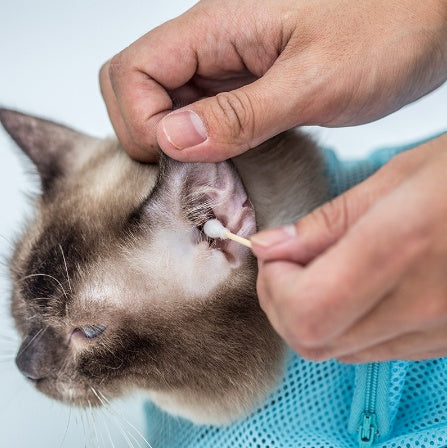 FurEverSmart Soft Cat Grooming Bag – Adjustable Mesh Bathing & Nail Trimming Carrier Sack Care