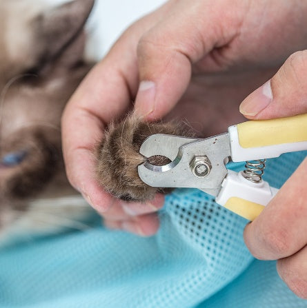 FurEverSmart Soft Cat Grooming Bag – Adjustable Mesh Bathing & Nail Trimming Carrier Sack Care