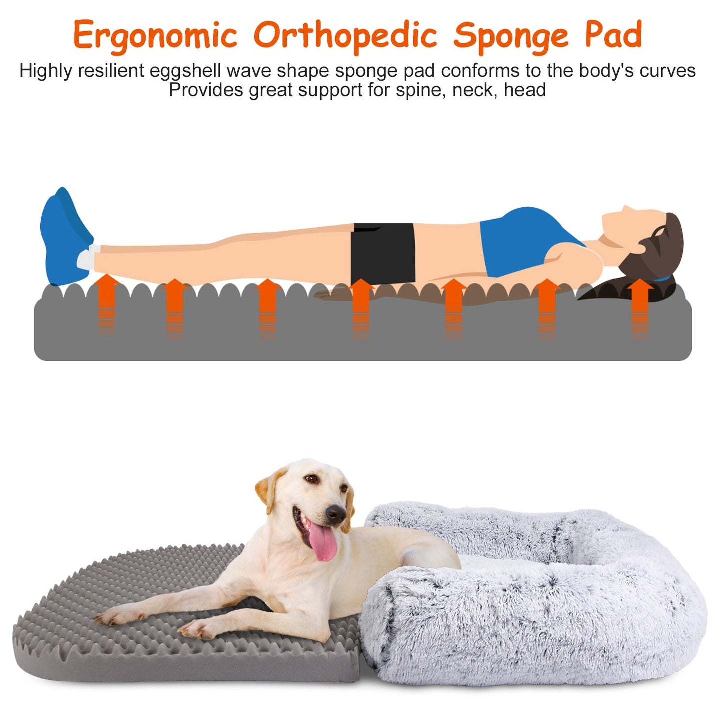 FurEverSmart Human-Size Dog Bed with Pillow